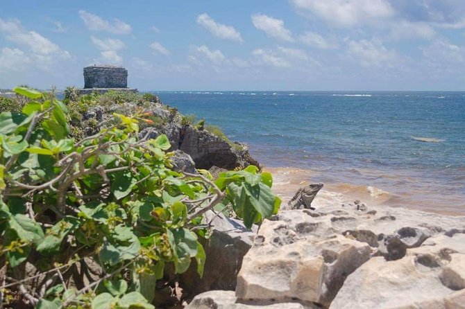 Tulum & Coba Private Tour - Cenote Xa’ay Ha for snorkeling: crystal water and included gear