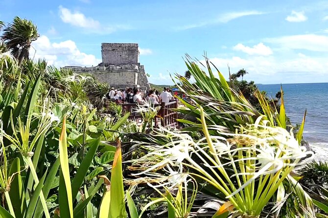 Tulum Express from Cancun and Riviera Maya - Key highlights if you’re choosing Tulum Express