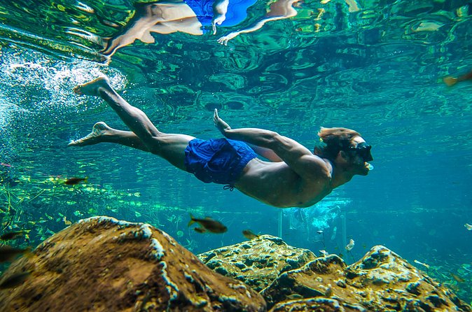 Tulum Ruinas and Tortugas Express - Snorkeling Gear and Turtle-Reserve Rules (Bring This Mindset)