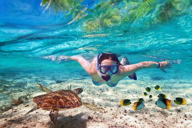 Tulum Ruins and Turtles Express - Key highlights at a glance