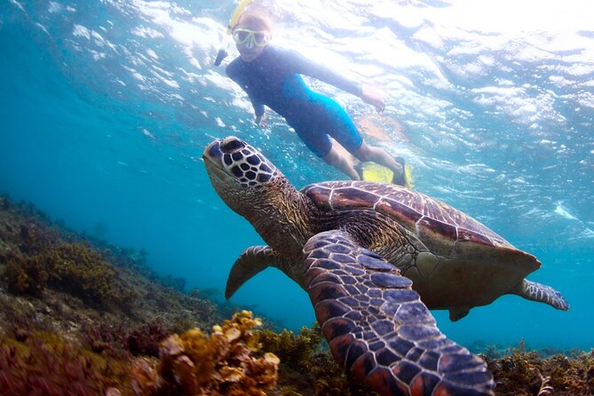 Tulum Ruins and Turtles Express - Logistics that can make or break your morning