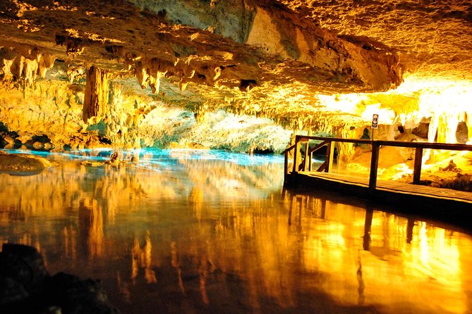 Tulum Ruins, ATV Extreme and Cenotes Combo Tour from Cancun - The Caribbean coast snorkel stop: wildlife without the full day trip