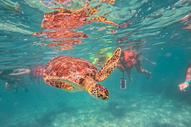 Tulum Ruins, Sea Turtles & Cenote Swim Adventure Tour - Key things that make this combo work