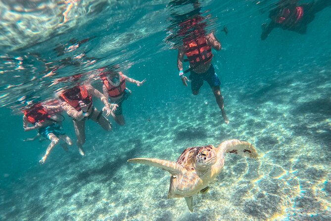 Tulum Ruins, Sea Turtles & Cenote Swim Adventure Tour - Cenote Nohoch Nah Chich: underground water, stalactites, and a real lunch break