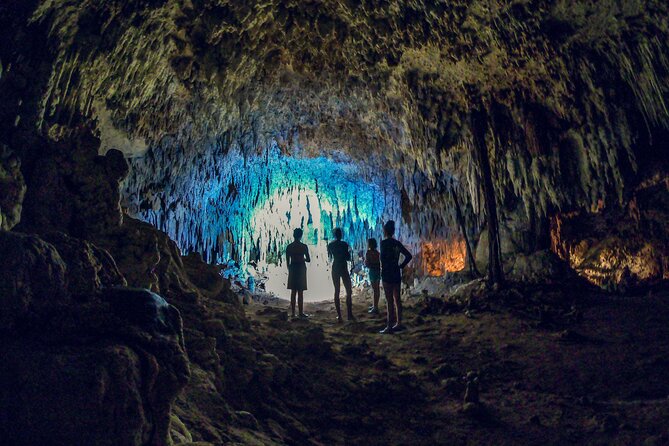 Tulum Ruins, Snorkeling with Turtles and Underground Caves - Akumal Bay turtle snorkeling: the reef search for multiple species