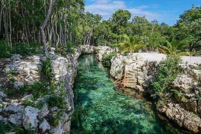 Tulum Ruins visit cenotes house turtle and Sculpture Come to Light - Quinta Avenida in Playa del Carmen: use your 1 hour well