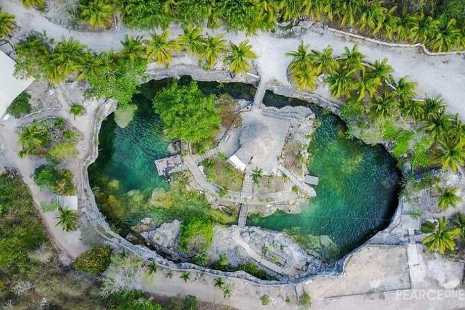 Tulum Ruins visit cenotes house turtle and Sculpture Come to Light - Timing, group size, and the “rushed” risk