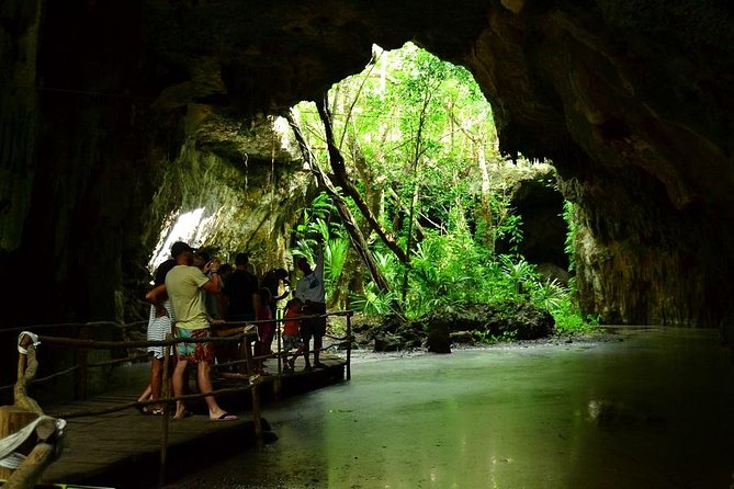 Turtles and Cenote from Riviera Maya - Price and value: how $110 stacks up, plus the $20 ecotax