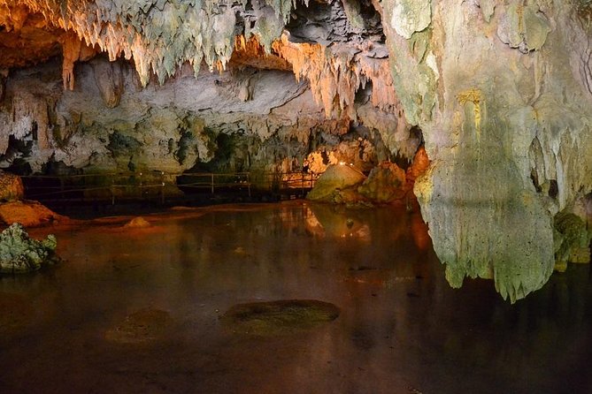 Turtles and Cenote from Riviera Maya - FAQ