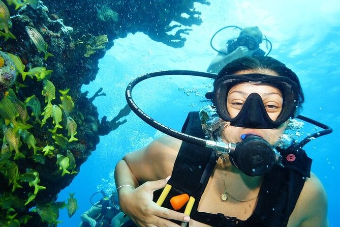 Two Dives and Class for Begginers Divers in Cancun - Quick highlights that matter