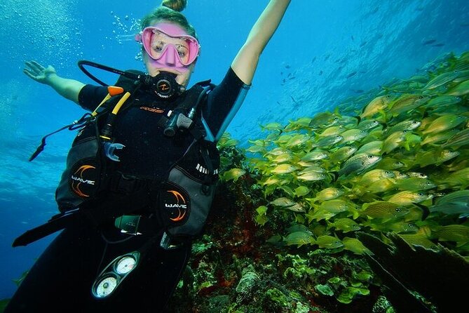 Two Dives and Class for Begginers Divers in Cancun - Getting there and what to bring