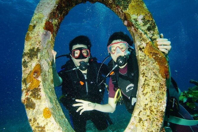 Two Reefs For Certified Divers in Cancun - Punta Negra, Grampin, The Tunnel, Horseshoe: what you might see