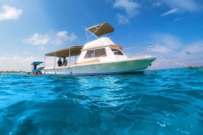 Ultimate 5x1 Combo with ATV, Ziplines, Cenote & Reef Snorkeling - Puerto Morelos Reef snorkeling: coral, fish, and the reef close-up
