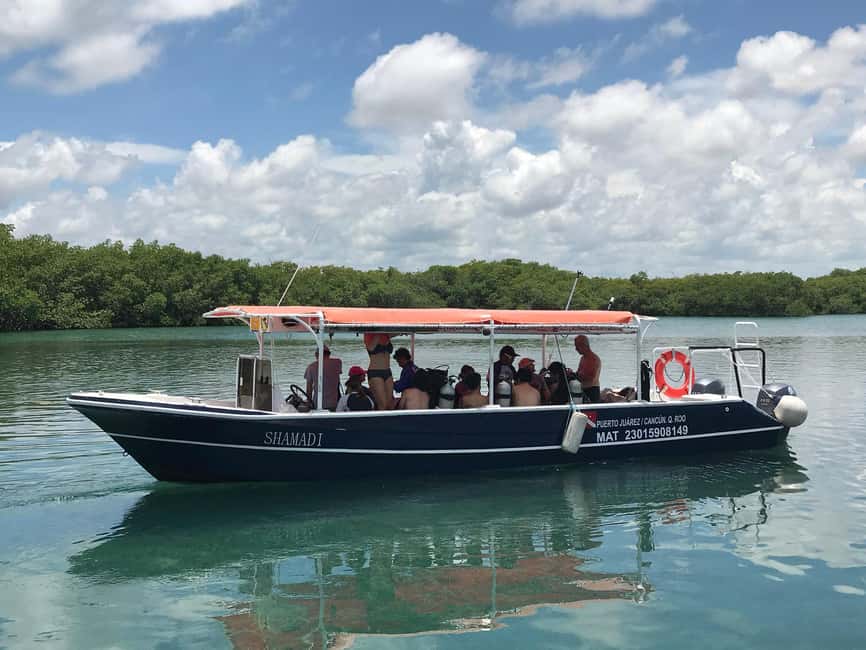 Underwater Museum Musa : SCUBA DIVING FOR BEGINNERS - Second underwater stop: reef time around Cancun and Isla Mujeres