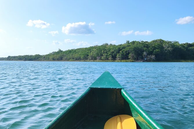 Unforgettable Journey: Coba, Monkey Reserve, and Mayan Cenote - Price and Value: Why $460.05 Might Still Make Sense
