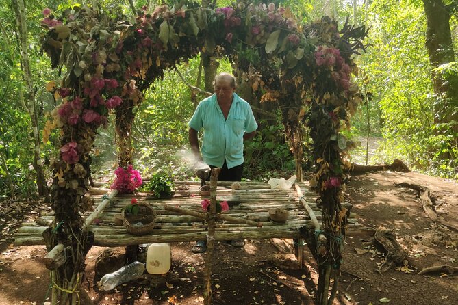 Unforgettable Journey: Coba, Monkey Reserve, and Mayan Cenote - Who This Tour Fits Best (And Who Might Skip It)
