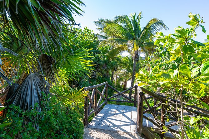 Viator Exclusive: Tulum Ruins, Reef Snorkeling, Cenote and Caves - Cenote caves and stalactites: the cool reward after snorkeling