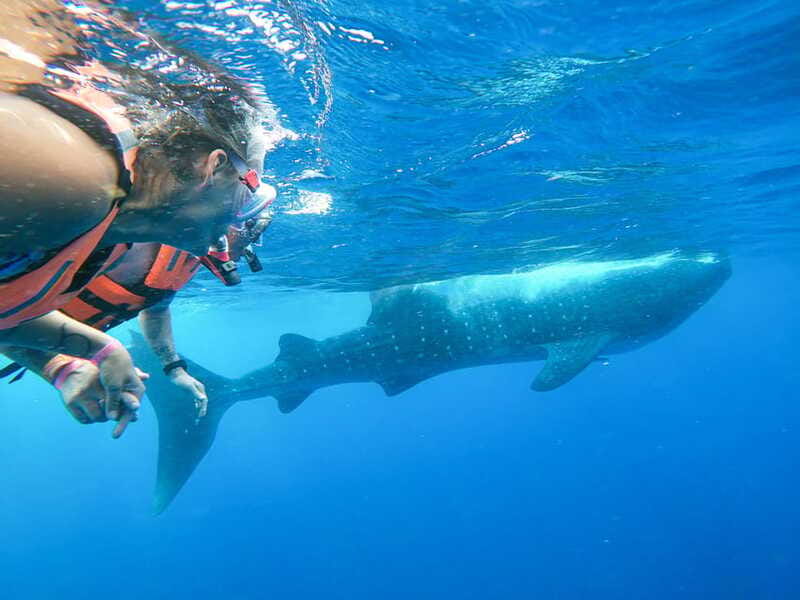 Whale Shark Adventure from Isla Mujeres - Food, Gear, and Comfort: The Small Stuff That Makes the Day Work