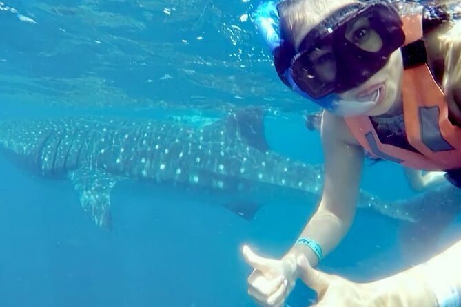 Whale Shark Adventure in Isla Mujeres and Cancun - The food and extra snorkeling stop: what fills the gaps