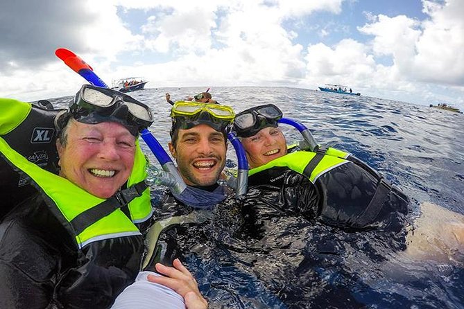 Whale Shark Tour from Cancun, Playa del Carmen, Tulum and Riviera Maya - Price and Value: What Your $199 Actually Covers