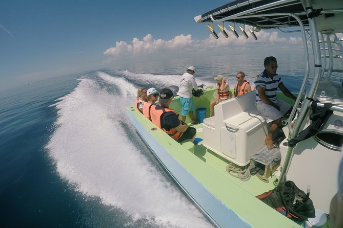 Whale Shark Tour from Cancun, Playa del Carmen, Tulum and Riviera Maya - Food, Coffee, and Dietary Options That Don’t Feel Like an Afterthought