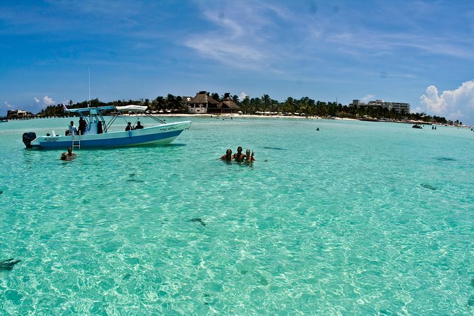 Whale Shark Tour from Cancun, Playa del Carmen, Tulum and Riviera Maya - Photos, Videos, and Wetsuits: What’s Worth Paying For