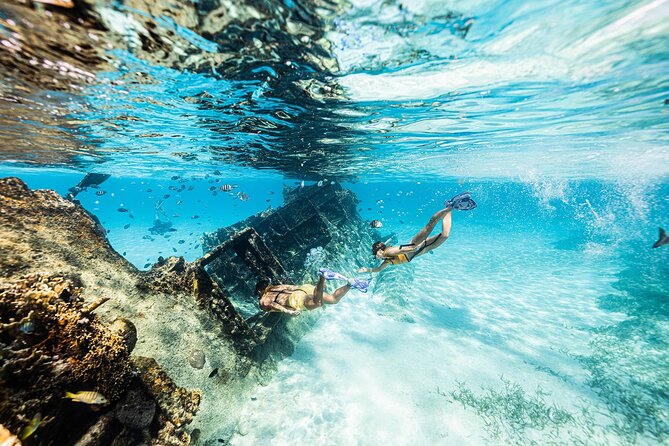 With Turtles, Shipwreck, Cenote, and Reef and Transport Included - Shipwreck and turtle odds: what you should watch for