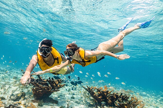 With Turtles, Shipwreck, Cenote, and Reef and Transport Included - Sea conditions and timing: how the day stays short