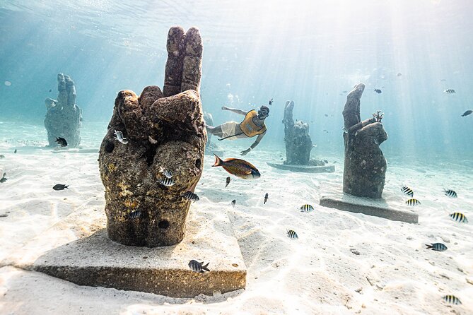 With Turtles, Shipwreck, Cenote, and Reef and Transport Included - Small-group service: the difference between a good snorkel and a great one