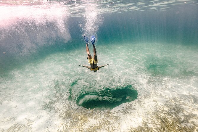 With Turtles, Shipwreck, Cenote, and Reef and Transport Included - Photos and videos: cool souvenirs, optional cost