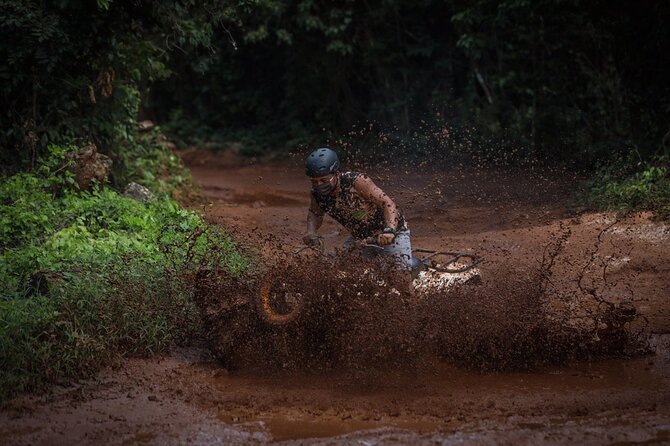 Wonderful Jungle Experience with Horse Riding, ATV, Ziplines and Cenote - Why this Cancun jungle combo feels like a smart $99 day