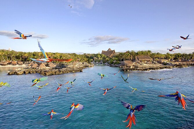 Xcaret Park Day Tour & Night Show with Transportation - The Night Espectacular Show: Why the Evening Ticket Matters