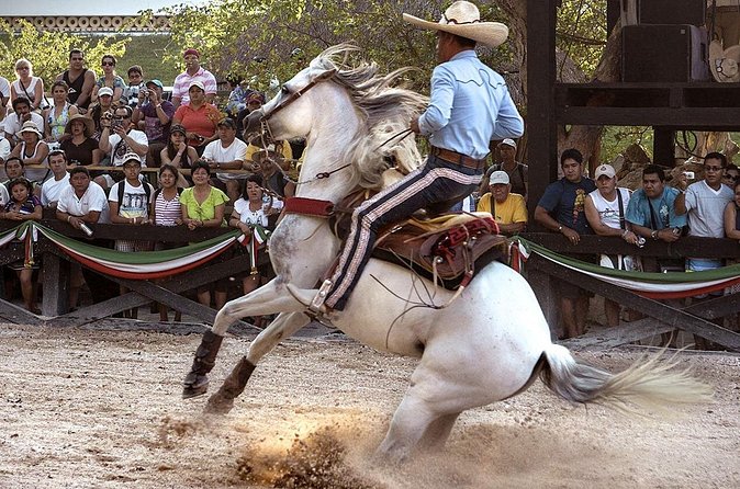 Xcaret Park Day Tour & Night Show with Transportation - Price and Logistics: Worth It Only If the Transport Works