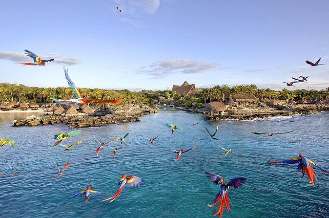 Xcaret Park Day Tour & Night Show with Transportation - Inside Xcaret: How the Day Typically Flows