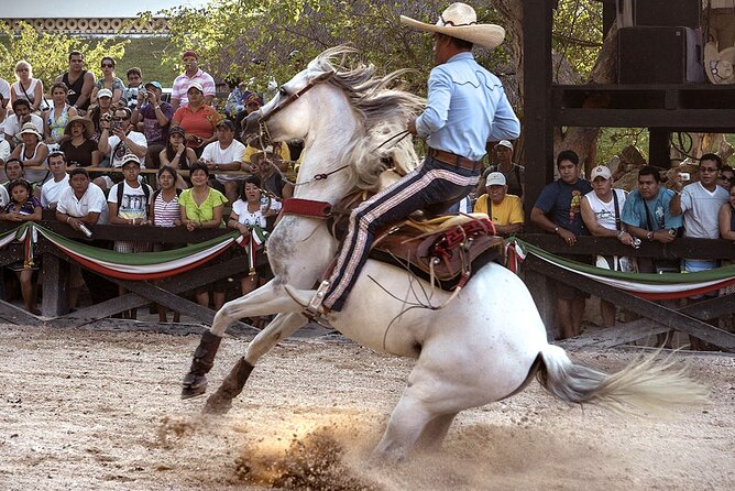 Xcaret Park Day Tour & Night Show with Transportation - Snorkeling Gear Included: A Small Comfort That Adds Value