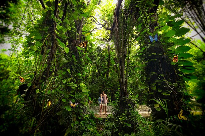 Xcaret Park Day Trip, transportation and Cultural Night Show - River Time: Underground Caves, Natural Pools, and Snorkel-Style Moments