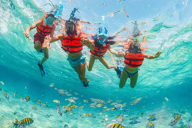 Xcaret Park Day Trip, transportation and Cultural Night Show - Animals and Gardens: Butterflies, Birds, Orchids, and the Coral Reef Aquarium