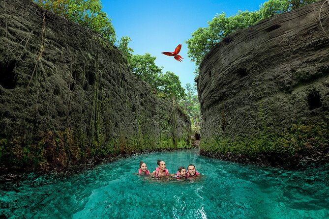 Xcaret Park Day Trip, transportation and Cultural Night Show - Price and Logistics: What You’re Paying For (and What Can Surprise You)