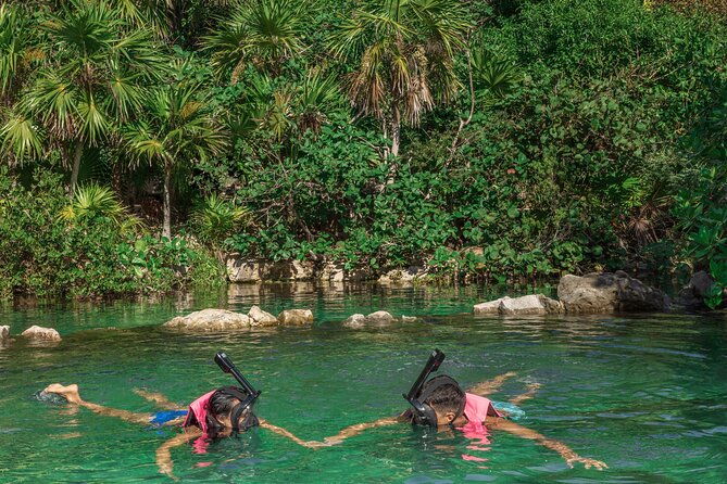 Xcaret Park Entry Tickets with Cultural Night Show Included - Animal time that doesn’t feel like a quick photo stop