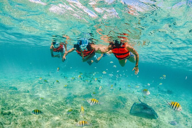 Xcaret Park Entry Tickets with Cultural Night Show Included - Snorkeling gear and deposits: how to avoid the annoying money trap