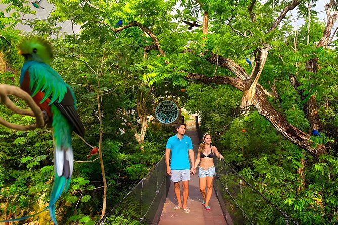 Xcaret Park Plus Tour! Nature, Culture and Nightshow from Cancun - What “Park Plus” actually means at Xcaret