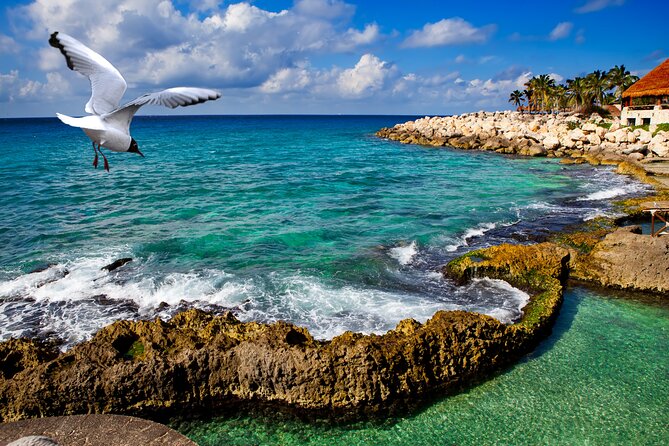 Xcaret Park Plus Tour! Nature, Culture and Nightshow from Cancun - Beach breaks and lounge time: plan to actually rest