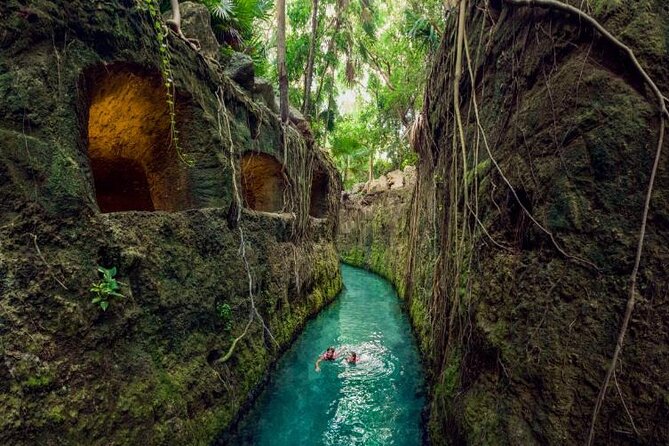 Xcaret Park Tickets Roundtrip Included from Cancun - Aquarium, Aviary, and Butterfly Pavilion: Soft Stops Between Thrills
