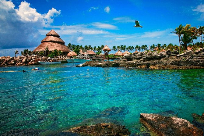 Xcaret Plus Full-Day Tour from Cancun with Transport - A Full-Day Xcaret Plan from Downtown Cancun