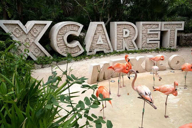 Xcaret Plus Full Day Tour - Plus Area strategy: start wet, then switch to dry