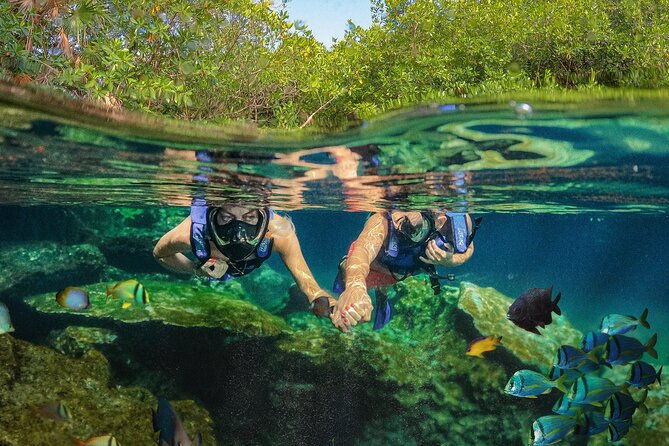 Xel-Ha Park Admission Tickets - All-inclusive vs Light: pick the package that matches your day
