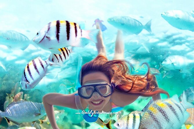 Xelha water park with transportation - Getting Your Day Flowing: Meals, Drinks, and Park Pace