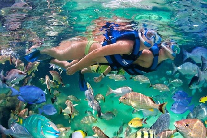 Xikbal Eco Park All Inclusive - How the all-inclusive day really adds up for $138