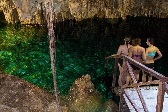Zapote Cenotes Adventure Tour Prehistoric Park - Language and operator vibe: Conoce Lo Tuyo