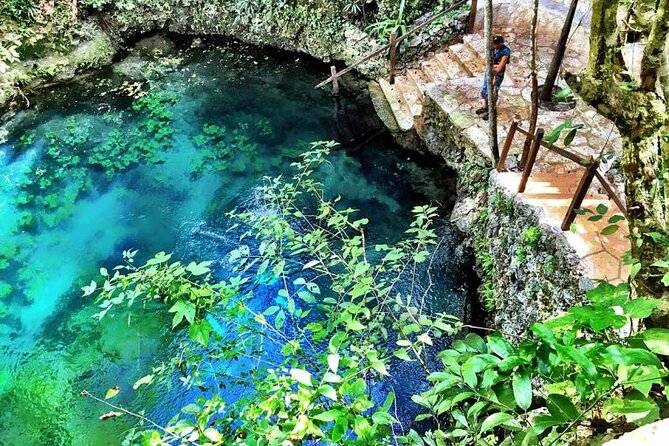 Zapote Cenotes Adventure Tour Prehistoric Park - Stop 1: Cenote Zapote Ecopark for platforms, open-water swimming, and a warm-up meal